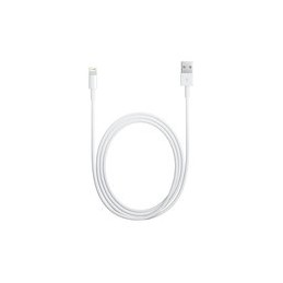 CAVO USB ORIGINALE APPLE MD818ZM/A iPhone 5 5c 5s 6 6s 7 8 X  iPad Air bulk